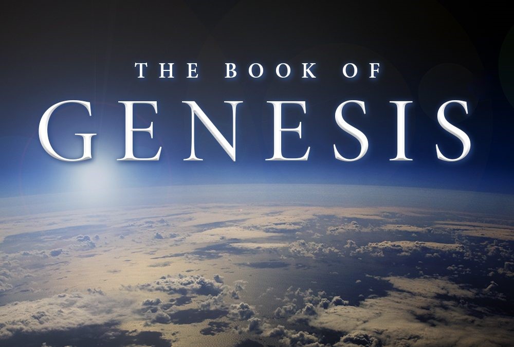 Genesis Meaning In Medical Dictionary